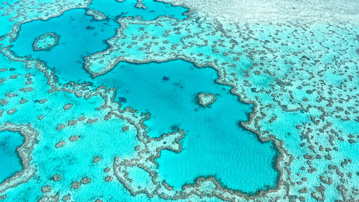 Local marine advisory committees and the Great Barrier Reef Marine Park Authority